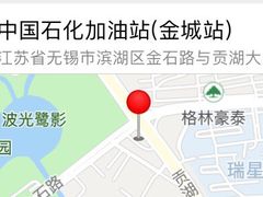 -中国石化金城加油站