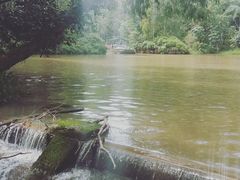 -热带雨林自然公园