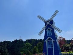 -铁山坪森林公园