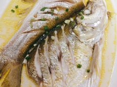 清蒸太湖白鱼-凡花楼(拈花湾店)