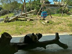 -宁波野生动物园