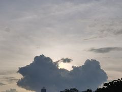 -海珠湖公园