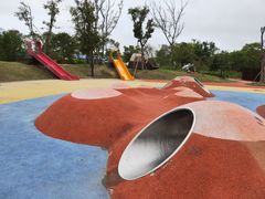 -春花秋色城市公园