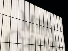 -深圳湾万象城(南山店)