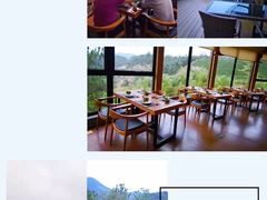 -莫干山郡安里度假酒店-桃尖中餐厅