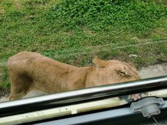 -西安秦岭野生动物园
