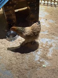 -酷嗒动物文化乐园(cutezoo西溪乐天城店)