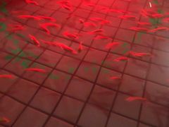 -杭州第一世界大酒店·云曼温泉