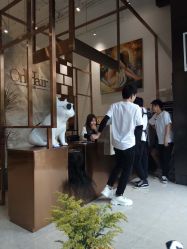 -OnHair Salon