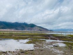 -纳帕海依拉草原
