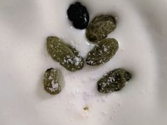 -糕小爱动物奶油生日蛋糕定制(晋江万达店)