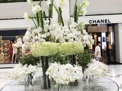 -鼎泰丰(国贸商城店)