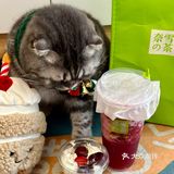 奈雪🎄车厘子圣诞树！送的宠物围脖实在太可爱啦