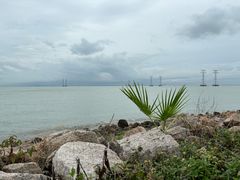 -宝安西湾红树林湿地公园