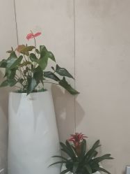 -Yestar重庆艺星医疗美容医院