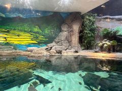 -上海海洋水族馆