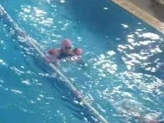 -小海豚国际游泳培训中心(浦东塘桥店)