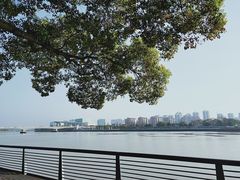 -宁波大剧院