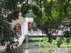 -荔湾湖公园
