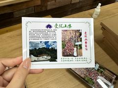 -西双版纳原始森林公园