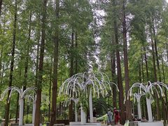 -黄海国家森林公园