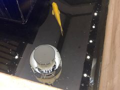 -苏州环秀晓筑养生度假村