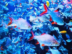 -成都浩海立方海洋公园