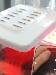 -碧莲盛·不剃发植发