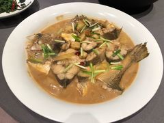 家烧野生黄鱼-新荣记(湾仔店)