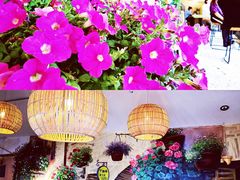 -萤火虫咖啡(后海店)
