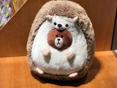 -line friends(明洞旗舰店)