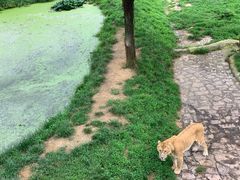 -西霞口神雕山野生动物世界