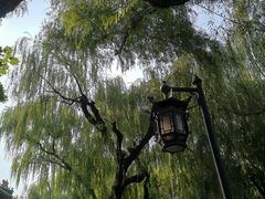 -楊家一锅(沙阳路店)