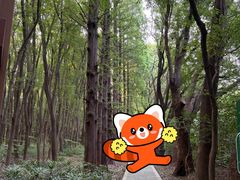 -同里国家湿地公园