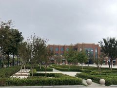 -山东鲁能乒乓球学校