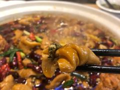 -川大刘肥肠鸡(北国店)