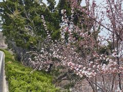 -棒棰岛宾馆景区