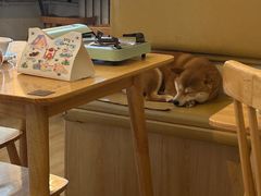 -柴の食堂·日式家庭料理·熊之肆(大学路店)