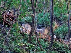 -大岭沟猕猴桃谷风景区