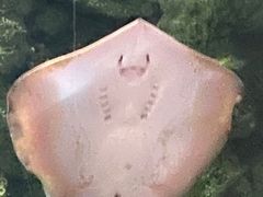 -杭州海底世界