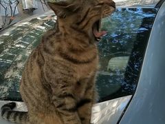 -东华大学第一食堂(松江校区店)