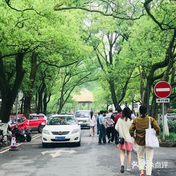 请了一位湖南大学的同学做导游，10人一位