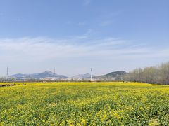 -西海岸生态观光园