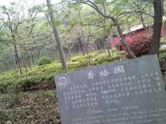 -皇藏峪国家森林公园