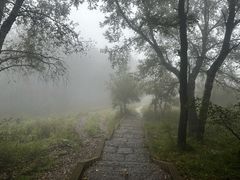 -灵山