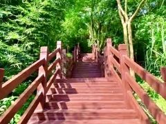 -广州白江湖森林公园