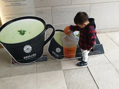 -雪绿茶博物馆