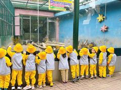 -天津蜂巢幼儿园·托育