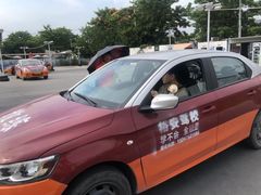-番禺裕安驾校·学车·考证(大学城校区)