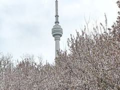 -龟山风景区-龟山电视塔